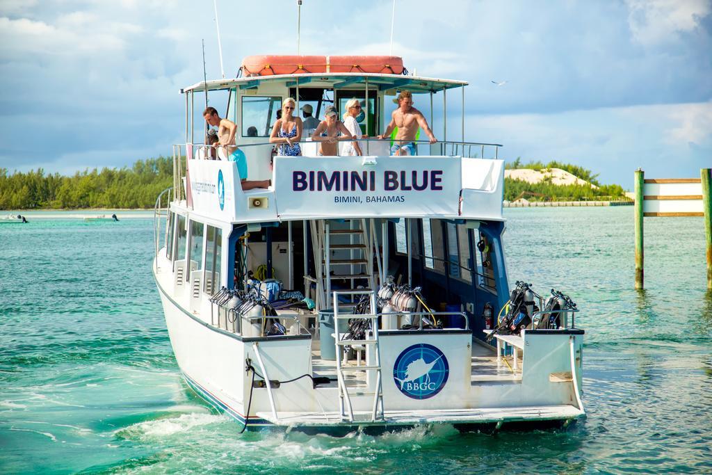 Bimini Big Game Club Resort & Marina Alice Town (North Bimini) Exterior foto